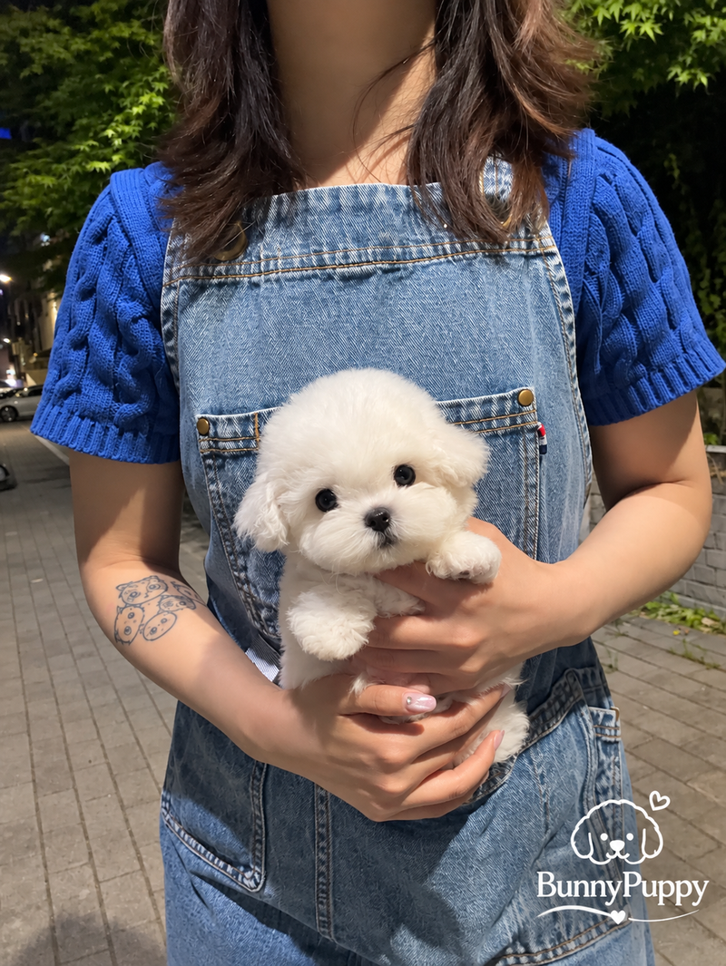 Little paws, held with care.