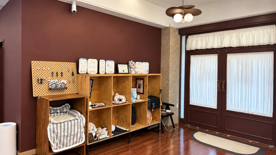 A puppy in the BunnyPuppy boutique