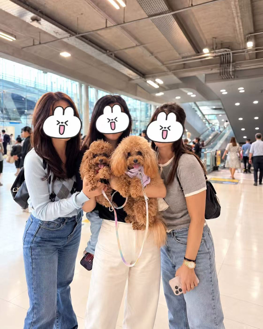 Meeting at the airport