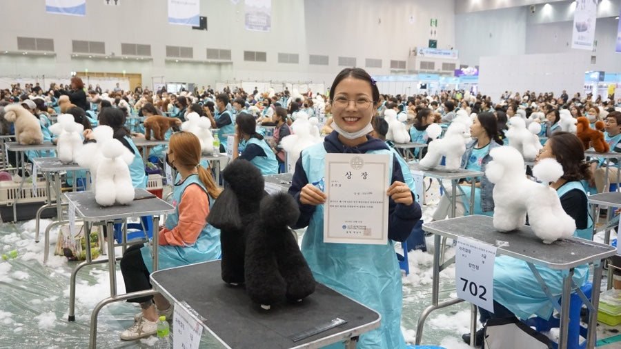 BunnyPuppy founder holding a KKF grooming contest certificate