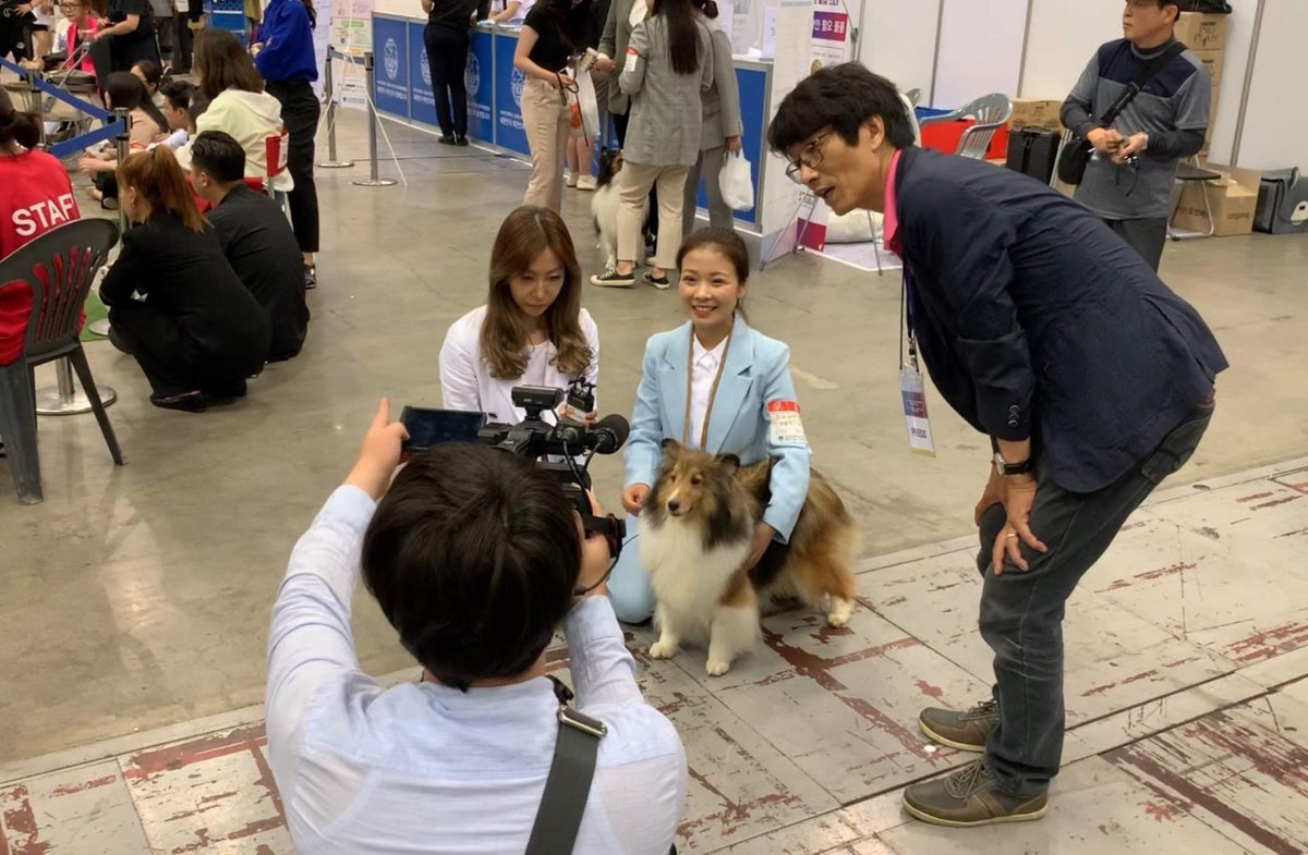 BunnyPuppy founder interviewed with a Shetland Sheepdog at a KKF dog show