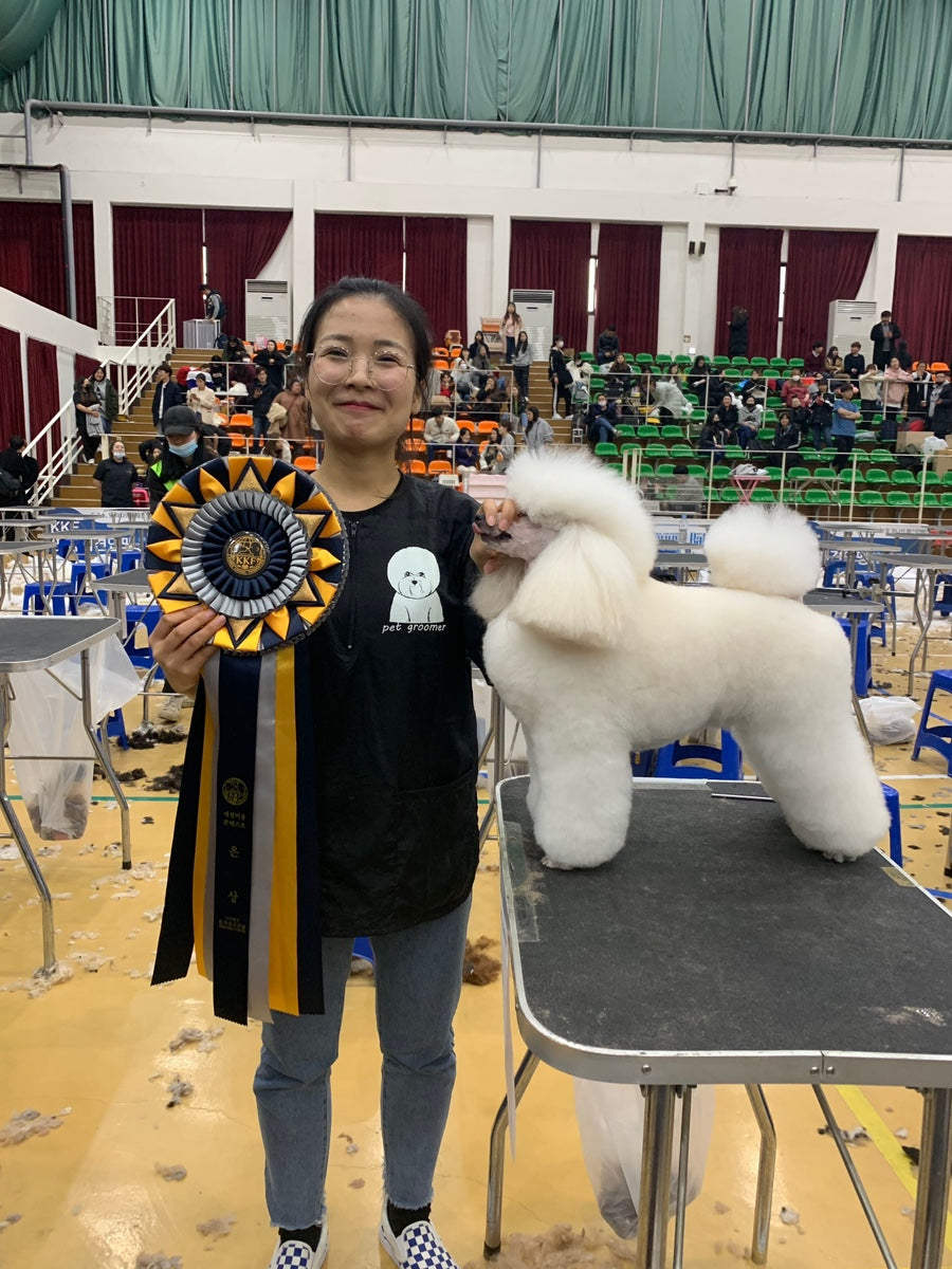 BunnyPuppy founder with a KKF silver award ribbon and a groomed white dog