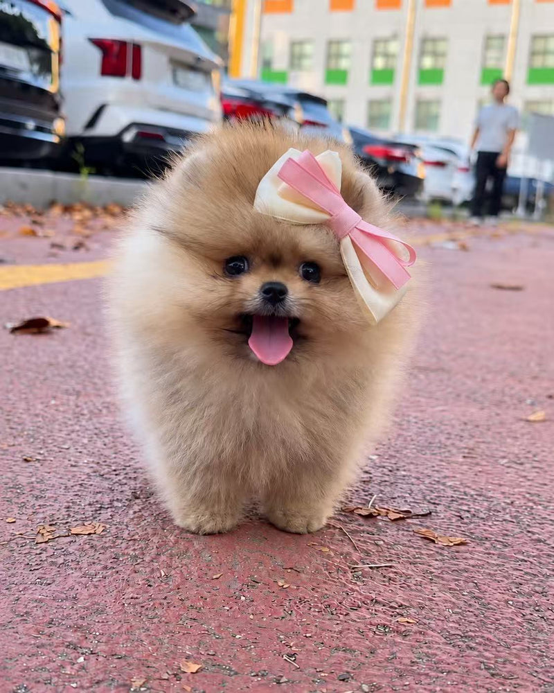 A little walk, a big smile.