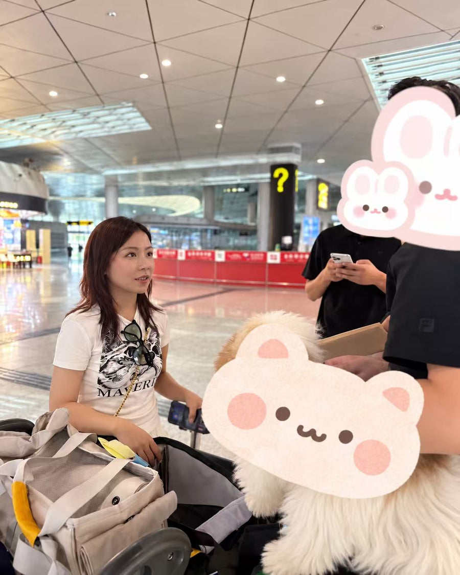 Hand-over at the airport